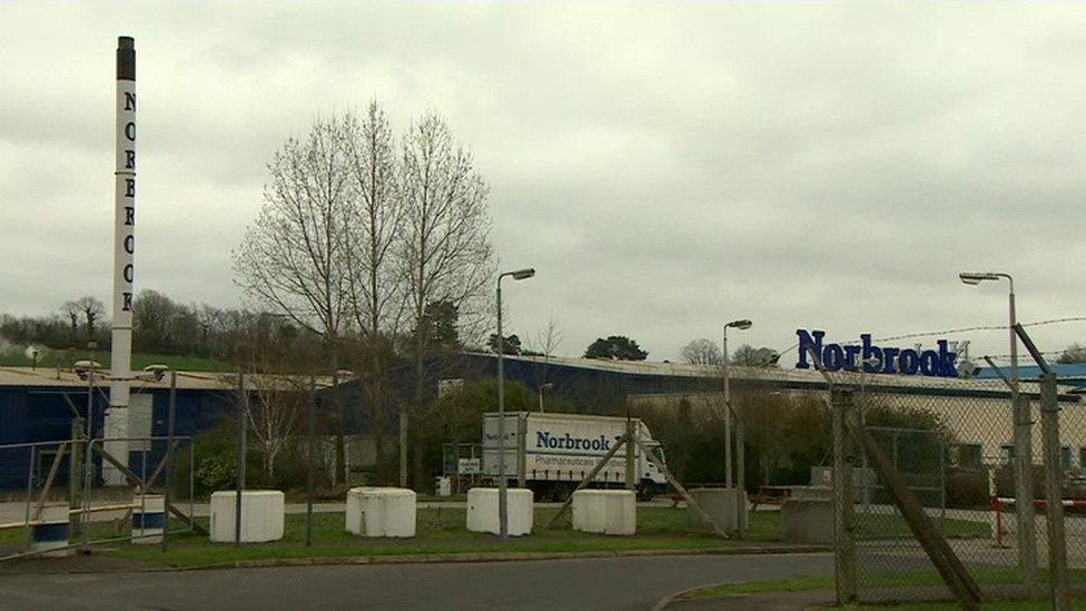 The Norbrook factory in Newry