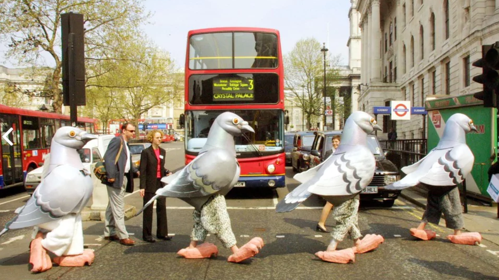 Giant pigeons crossing near Trafalgar Square in 2001.