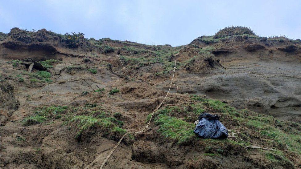 Looking up the face of a rugged steep cliff there are areas of grass mounds and mud a number of ropes are dangling down.