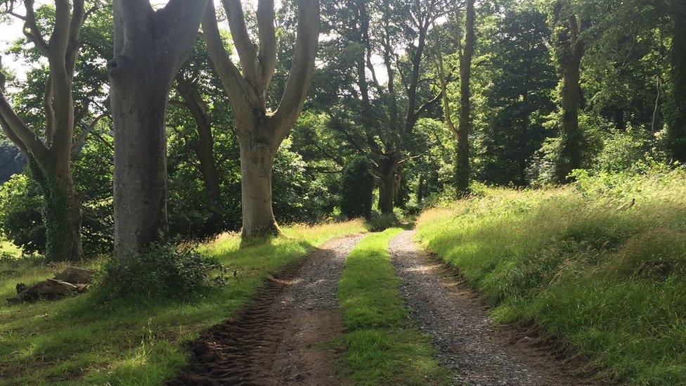 Trails near Mount Stewart Estate