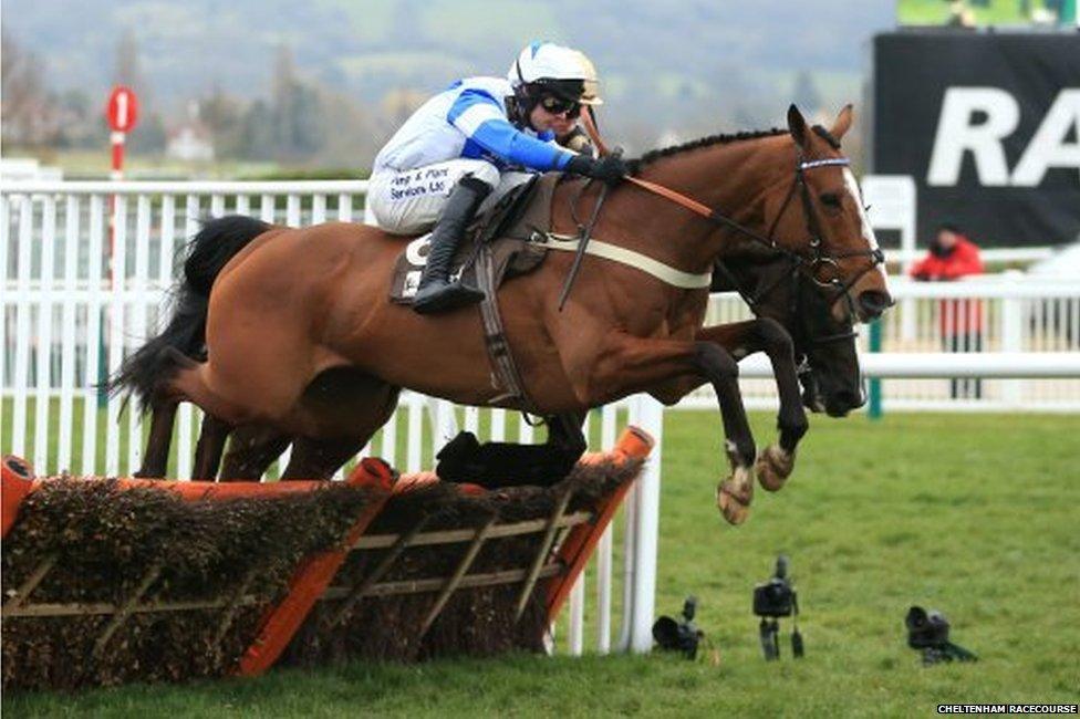 A picture of a racing horse and jockey, posted on Twitter by Cheltenham Racecourse, as part of the #blueforBonnie campaign