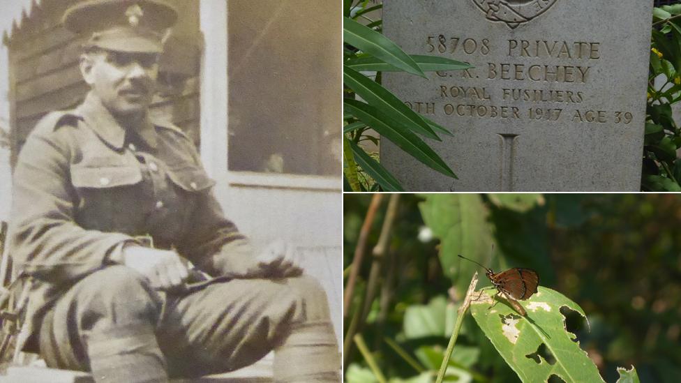 Charles Beechey, his grave and a butterfly close to where he died