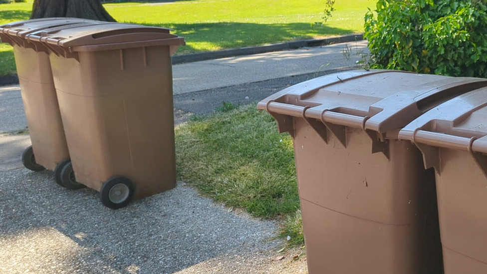 Brown bins