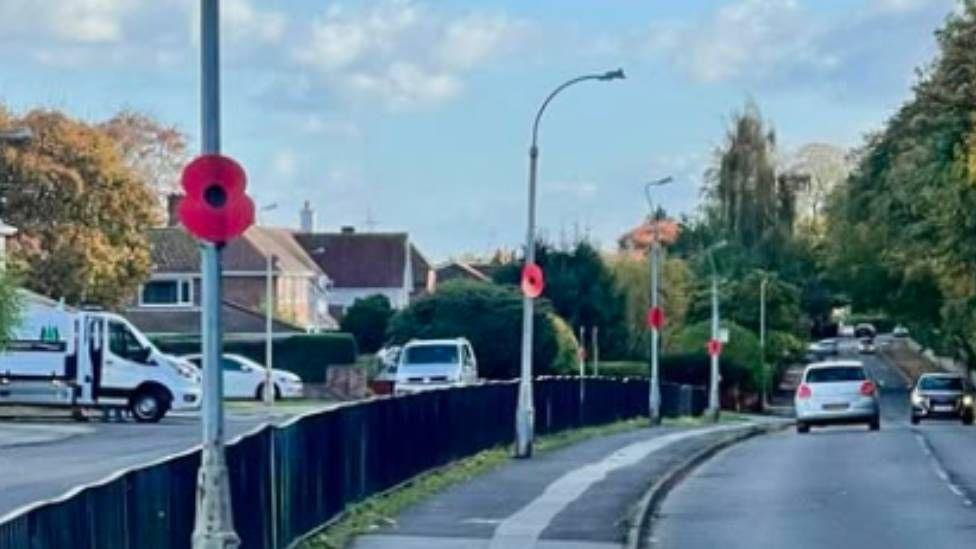 Poppies are seen tied up on lampposts
