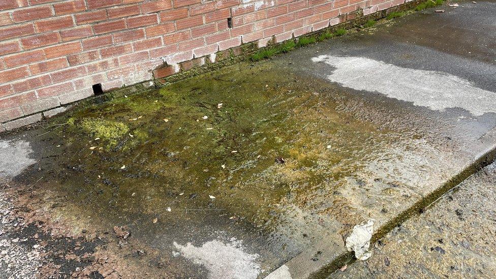 A puddle of water outside Jean King's home