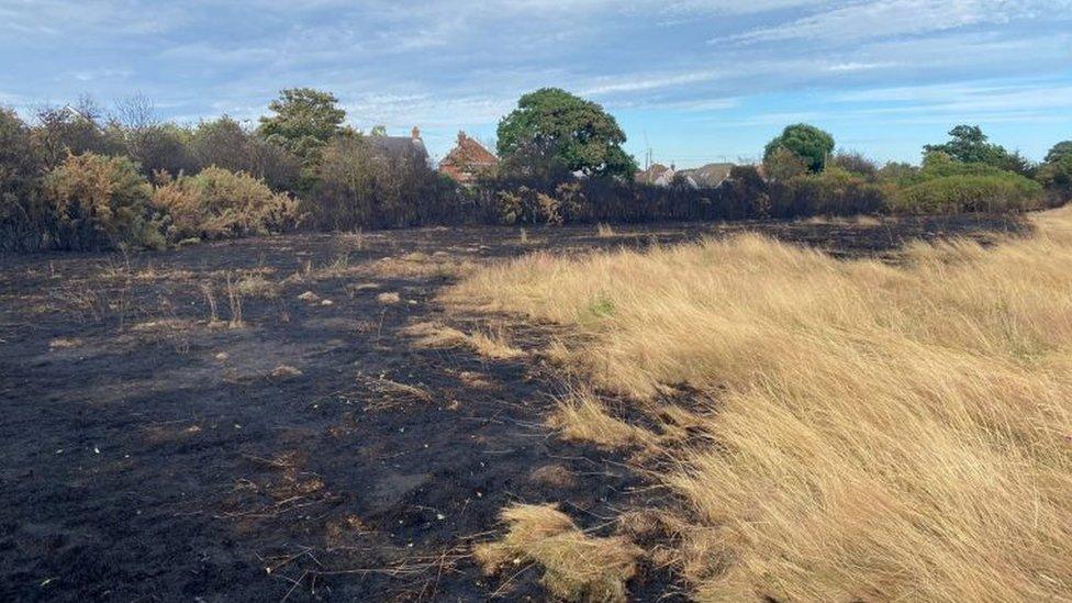 burnt grass and part of the filed that wasn't affected