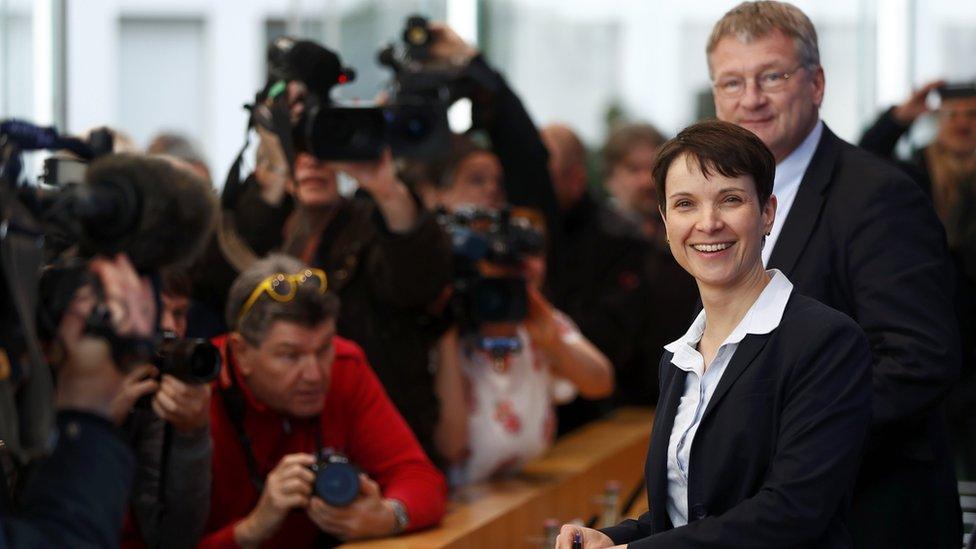 AfD leader Frauke Petry