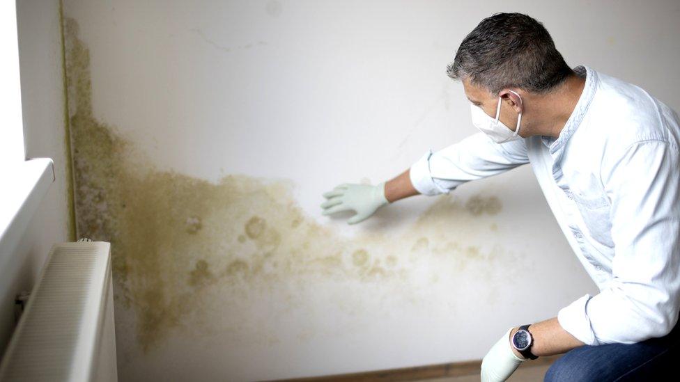 Man looking at mould