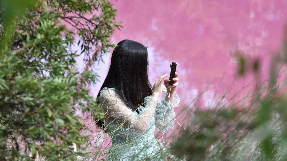 A woman uses her phone while framed against the background of the pink waters