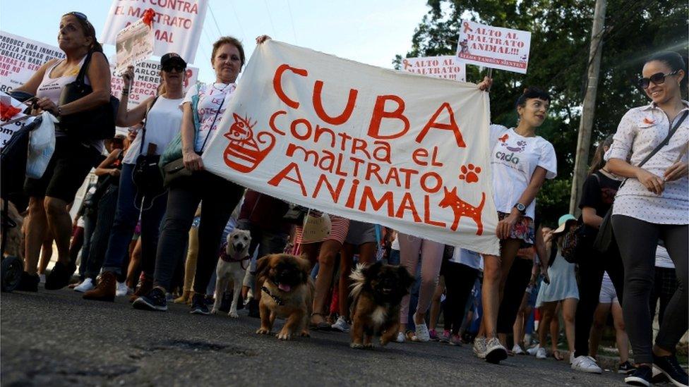 Cubans march against animal cruelty, in what is thought to be the first independent demonstration allowed in the country