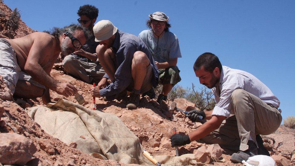 paleontologists-digging-up-fossils.