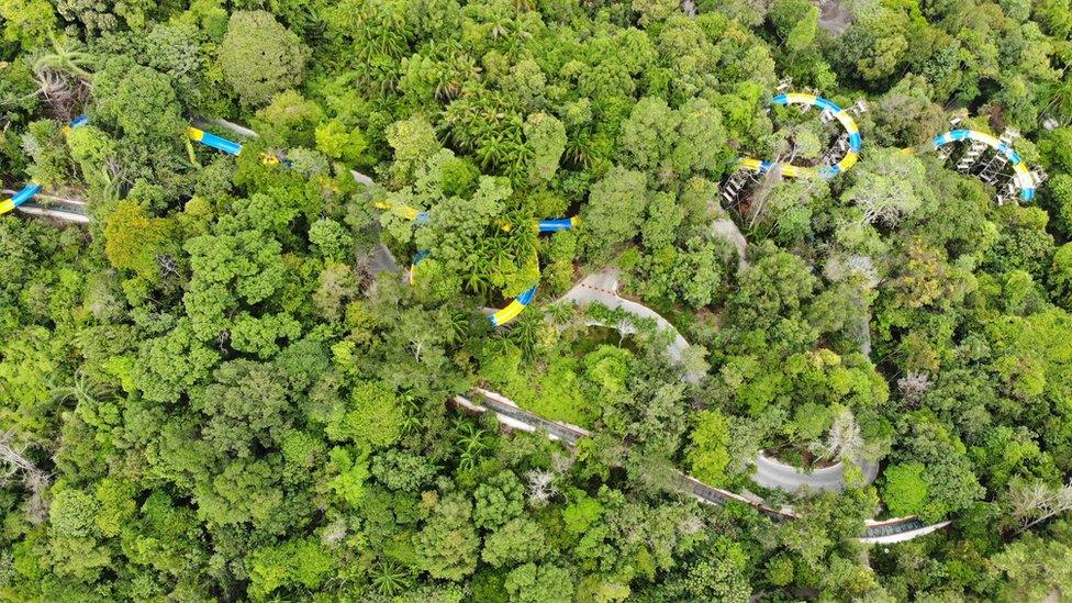 water-slide-rainforest