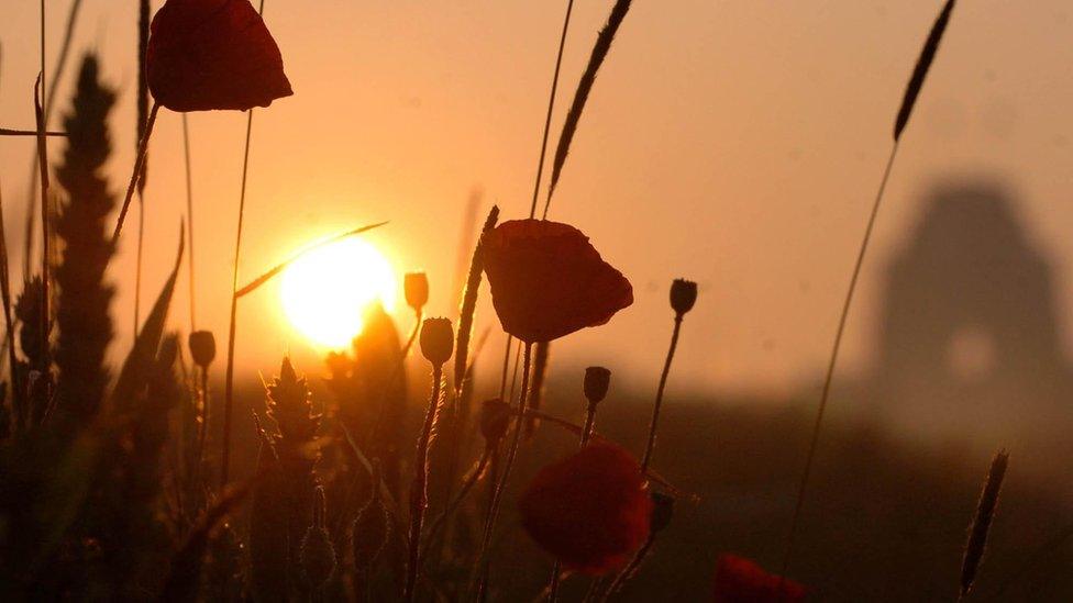 Photo of field in Somme