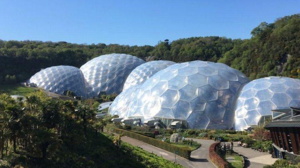 The Eden Project's greenhouse biomes on a sunny day, with some trees in front and woodland behind