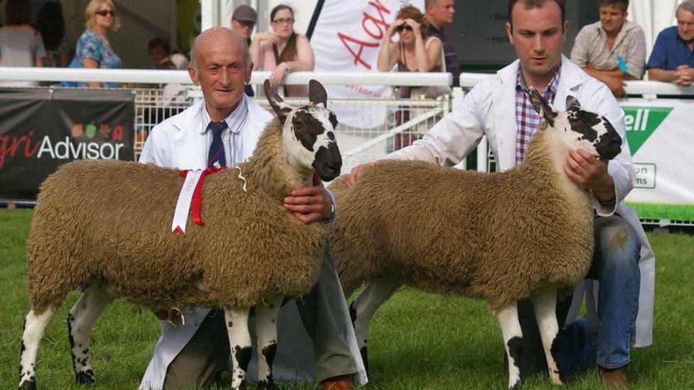 Idwal Jones a'i fab Tommy Jones Aberhonddu, gyda'u defaid Cymreig