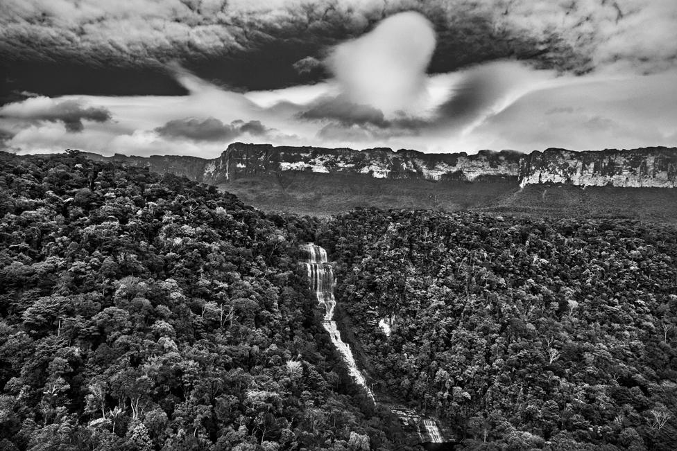 Black and white photograph of clouds above forest