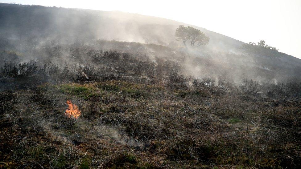 Saddleworth Moor fire