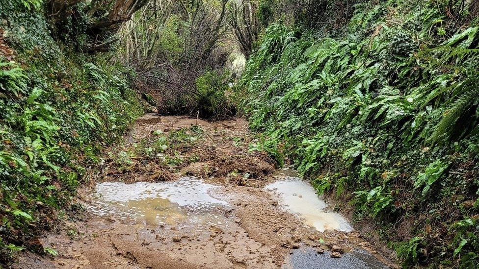 Landslip in West Milton