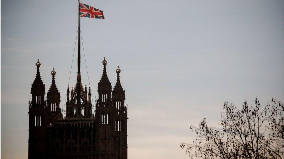 Parliament and flag