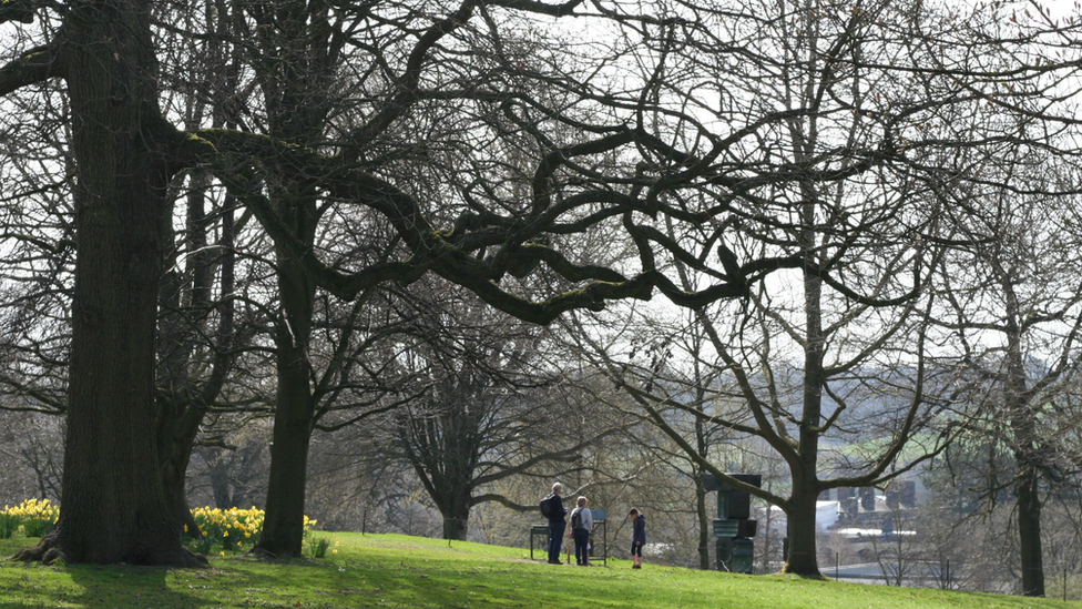 General view of YSP