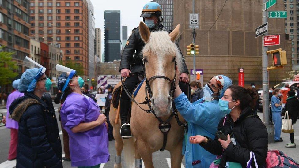 Healthcare workers in New York City pet a police horse