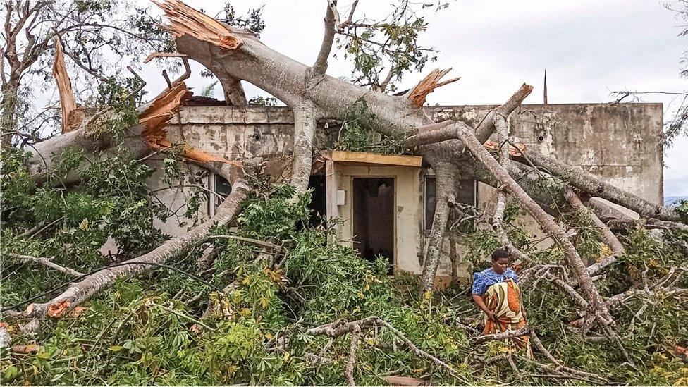 A woman in Macomia, northern Mozambique assesses the damage after a mature baobab tree slammed into her home during Cyclone Kenneth