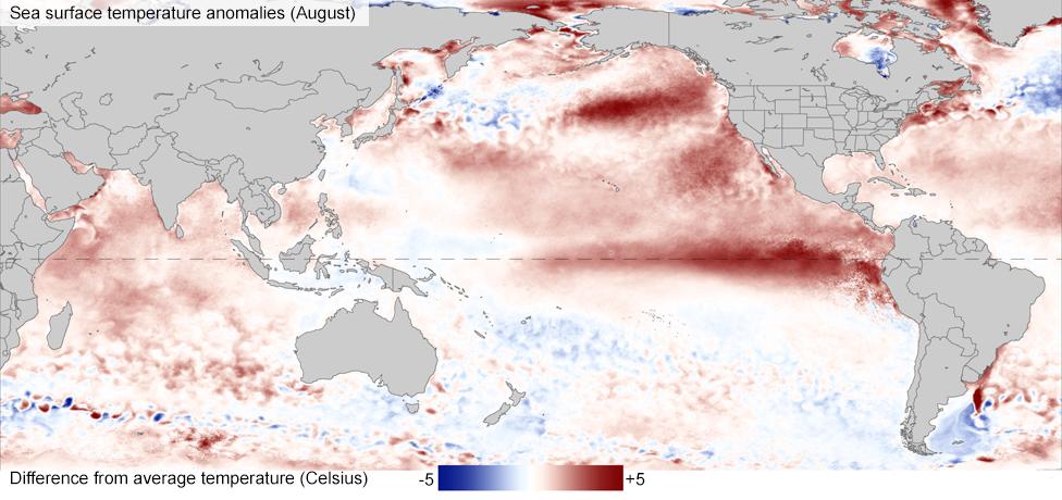 Sea surface temperature anomalies (August)