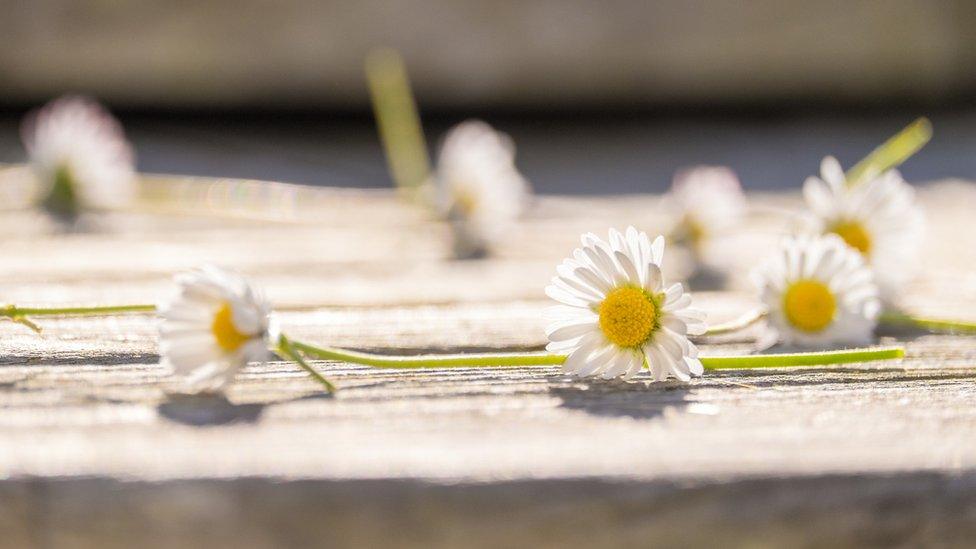 Daisy chain