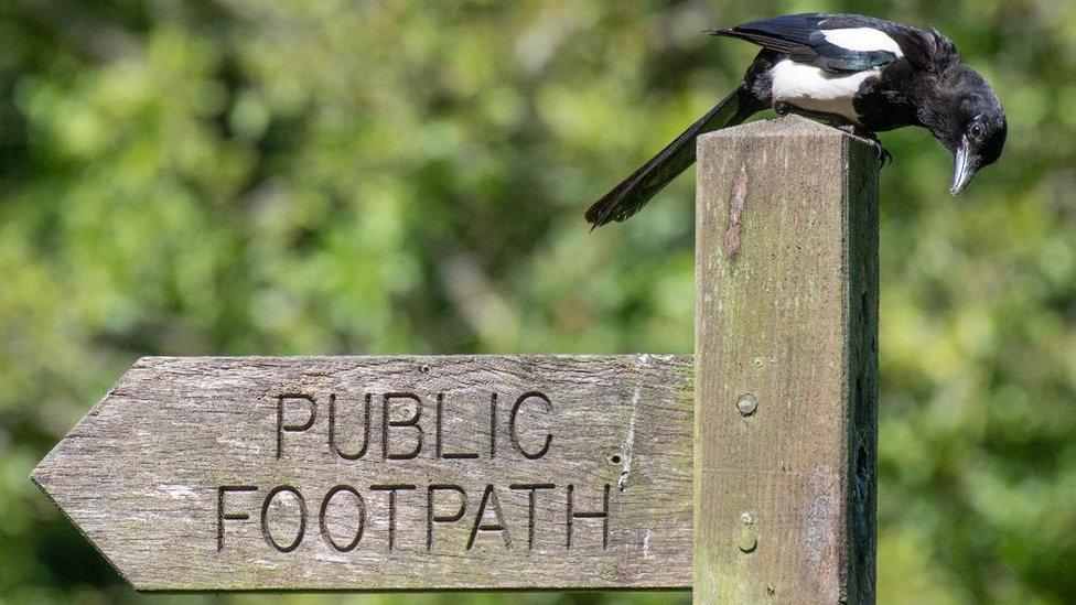 Footpath sign