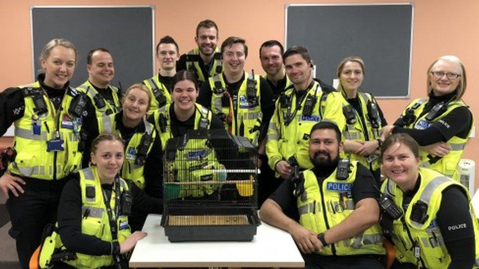 Northamptonshire Police officers pose with Craig the budgie