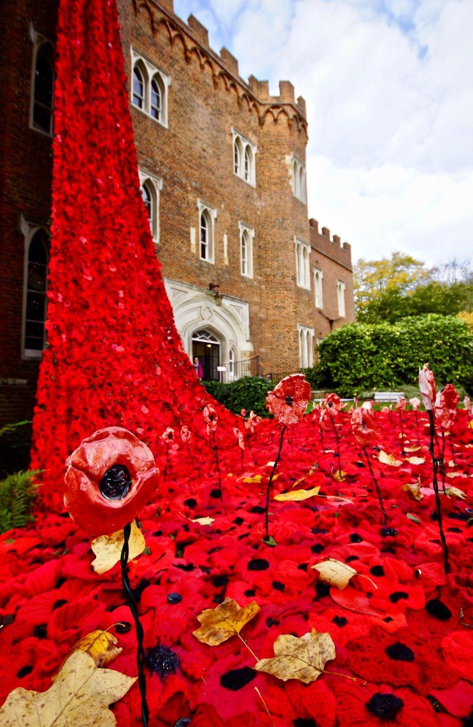 Poppy display at Hertford Castle