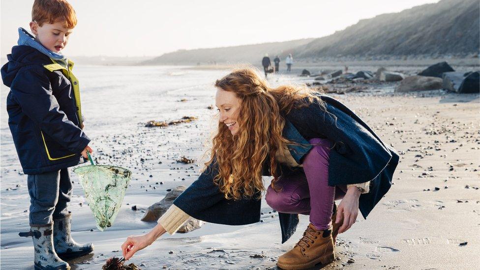 Child and mum collecting seaweed