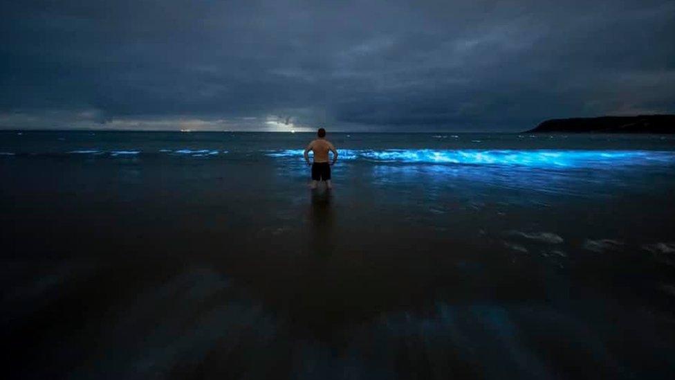 A man in the sea lit by bioluminescent plankton