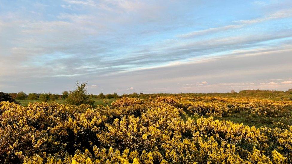 SUNDAY - Greenham Common