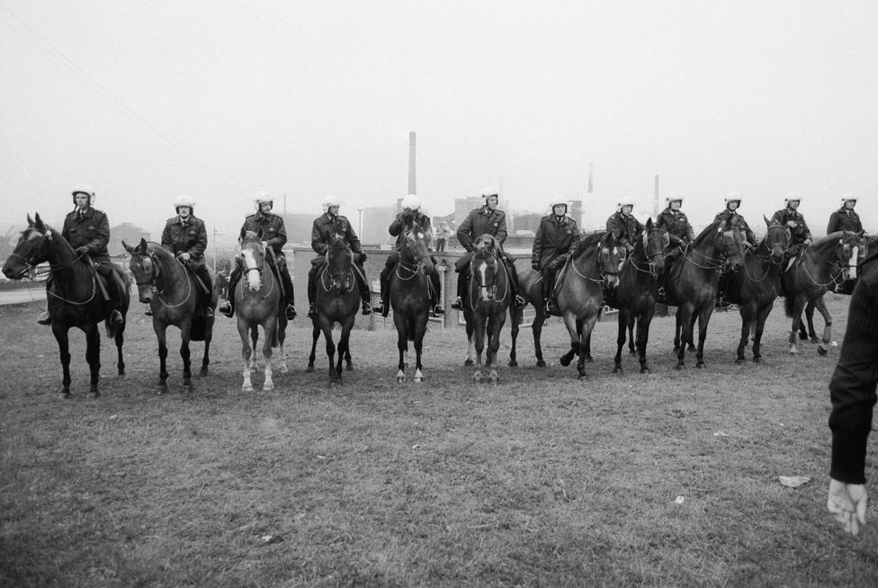 Police on horseback in a line