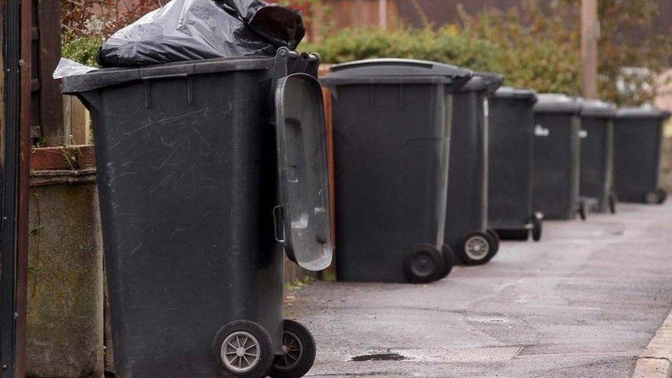 A row of black wheelie bins on a pavement.