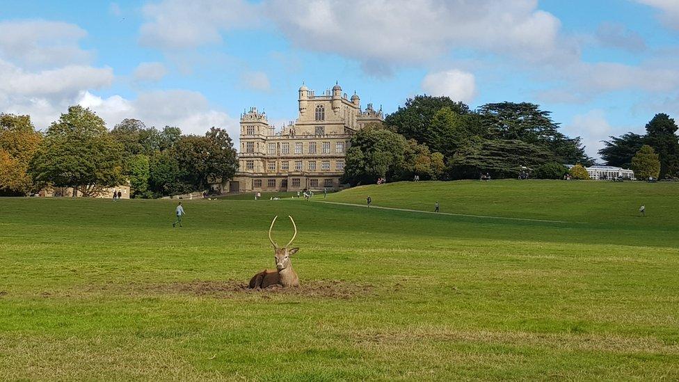 Wollaton Hall