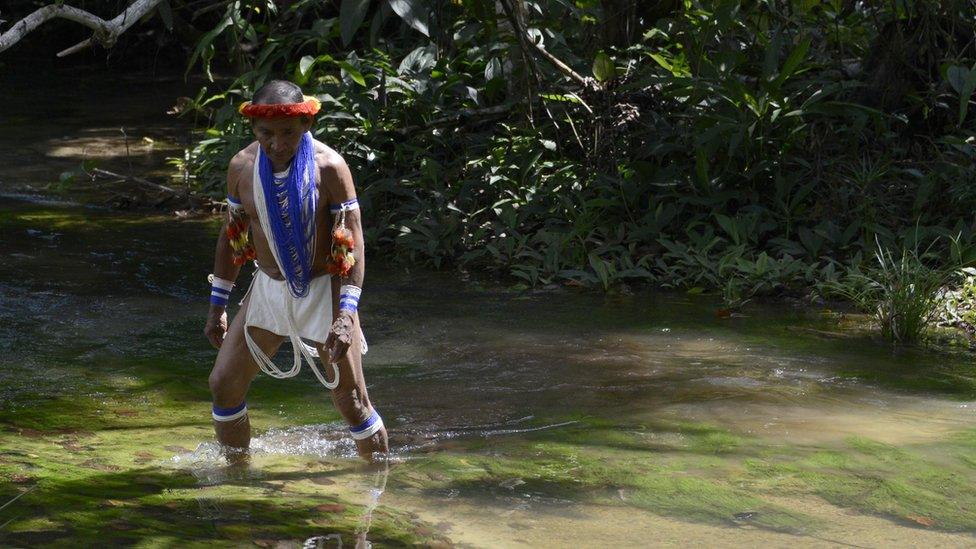 Rahuenicha, shaman of the Samaria tribe from the Venezuelan Piaroa ethnic group, crosses a river