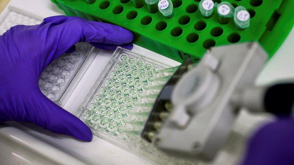 Test tubes at a Cancer Research UK facility