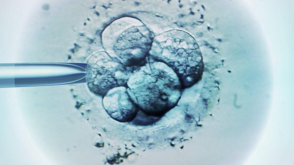 Embryo selection for IVF