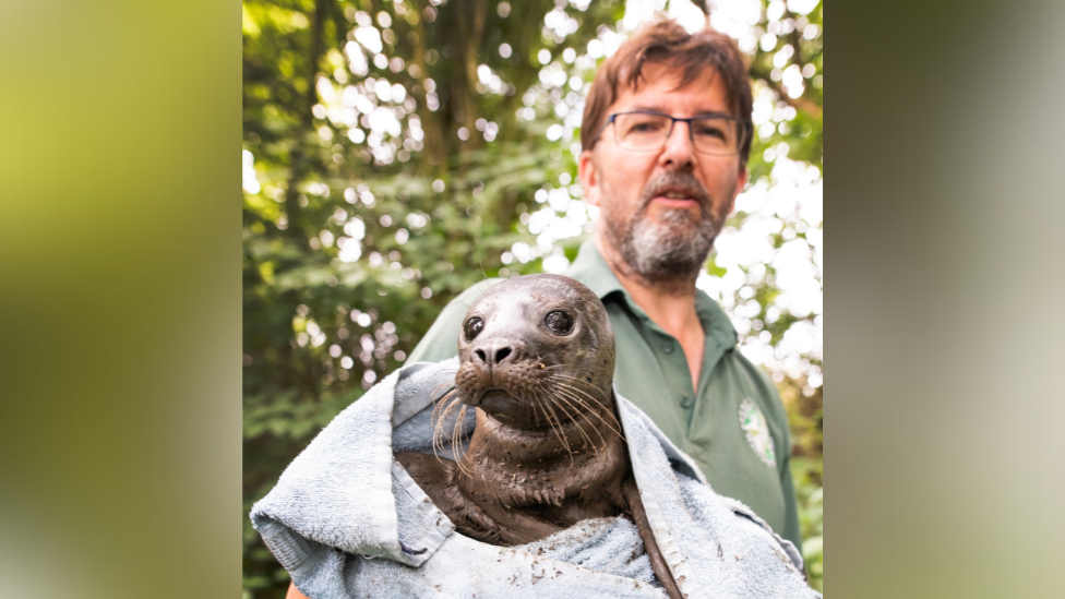 Tom Linsel holding the seal, which is wrapped in a towel