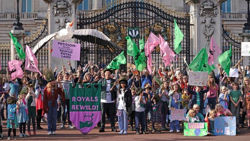 Campaigner outside the gates of Buckingham Palace