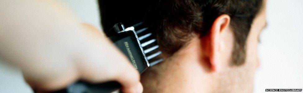 Haircut. Rear of a man's head as he has his hair cut with clippers. M985/0134