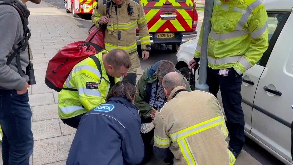 Fire fighters with the rescued bird