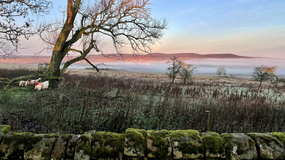 Michael Parry's picture from his back garden at Simonside Hills in Northumberland taken 29 November 2022