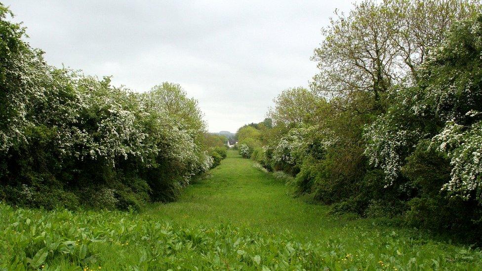 Former railway line in Armagh