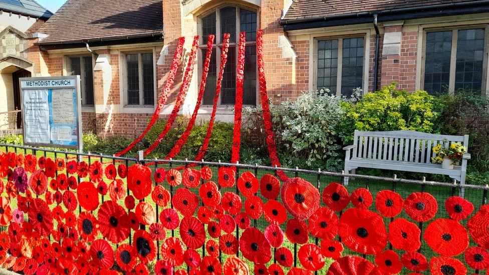 Wellesbourne poppies