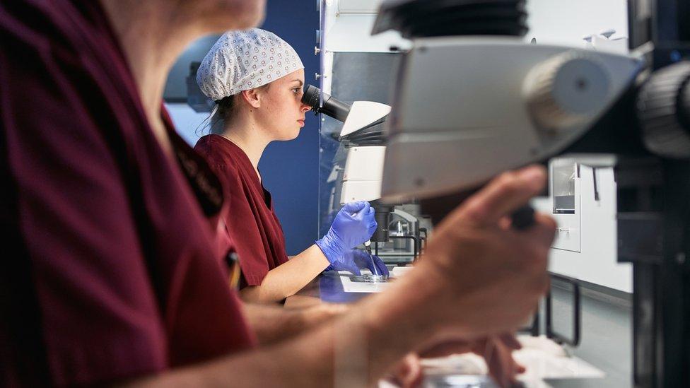 File image of people at work inside an IVF clinic