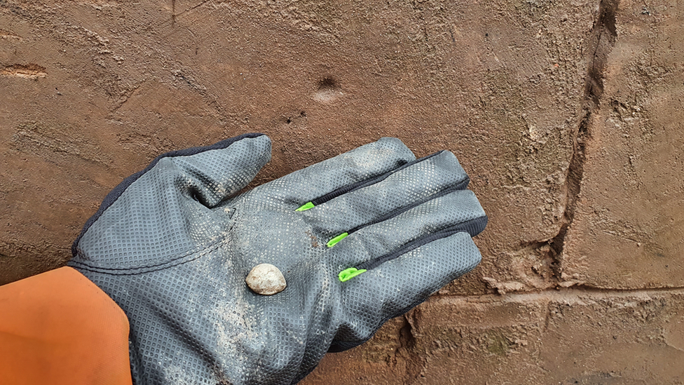 A musket ball in a gloved hand