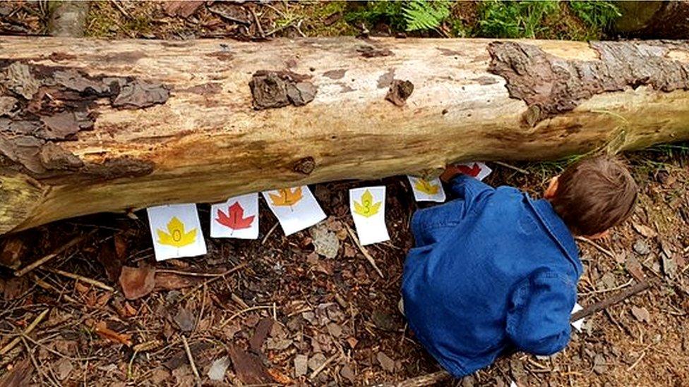 boy playing in woods